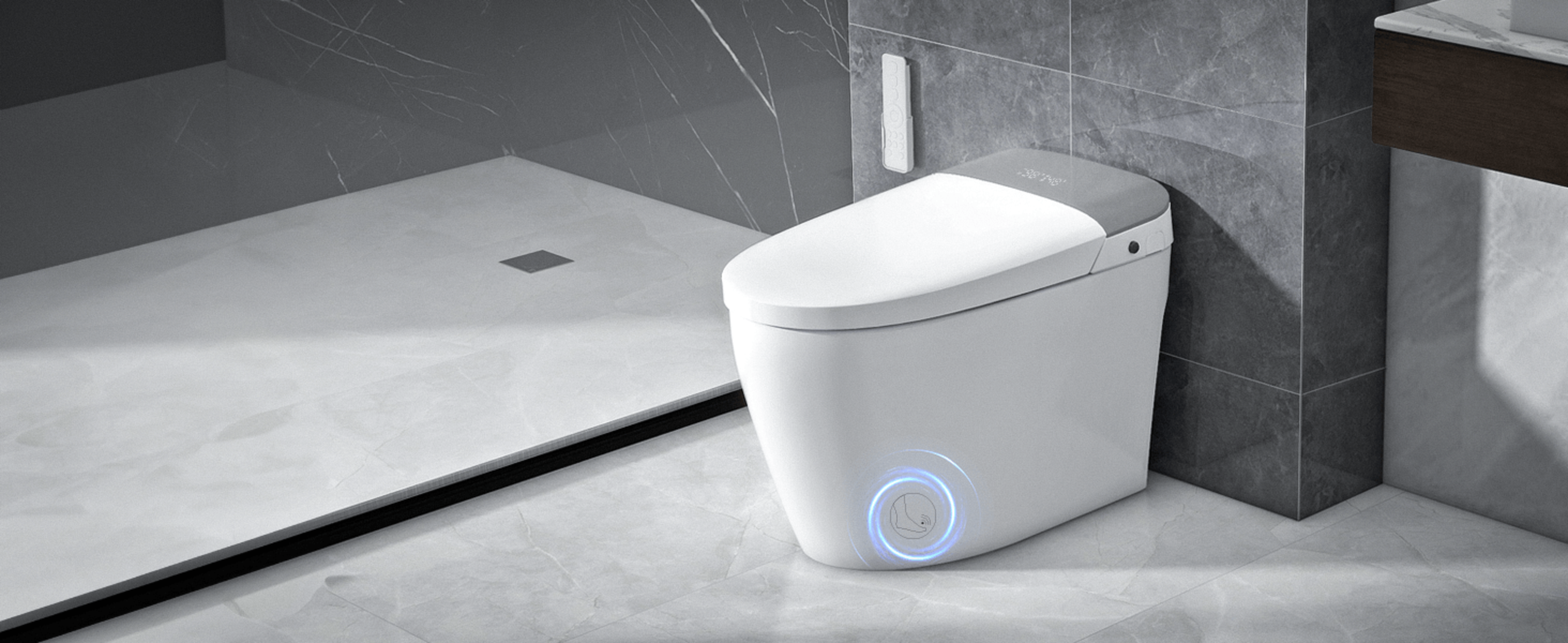 Smart Toilet